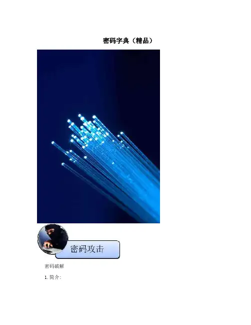 密码字典(精品)