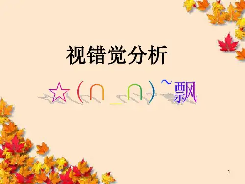 视错觉分析ppt课件