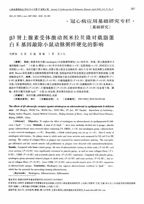β3肾上腺素受体激动剂米拉贝隆对载脂蛋白E基因敲除小鼠动脉粥样硬化的影响