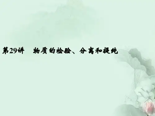 浙江省宁波市支点教育培训学校中考科学复习 第29讲 物质的检验、分离和提纯课件 浙教版