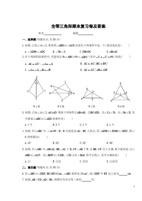 人教版八年级上数学第12章 全等三角形期末复习卷及答案(含答案)