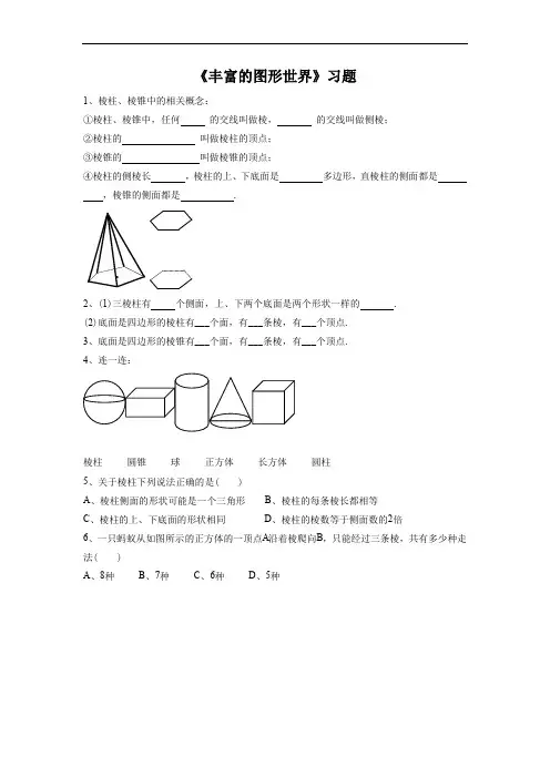 苏科版七年级数学上册练习 5.1 《丰富的图形世界》习题1