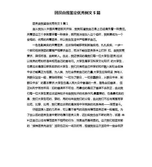团员自我鉴定优秀例文5篇