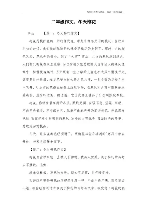 二年级作文：冬天梅花