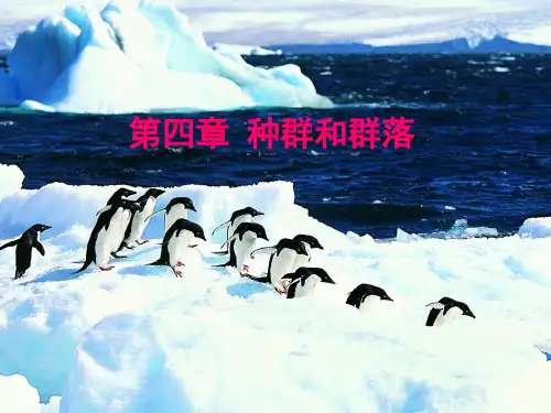 种群和群落(一轮复习上课)复习进程