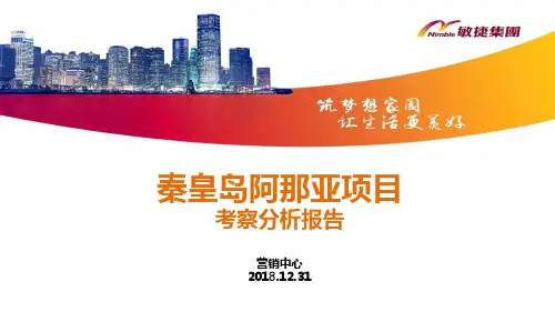 2019年阿那亚项目考察分析案例