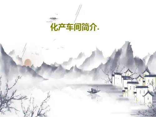 化产车间简介.共17页文档
