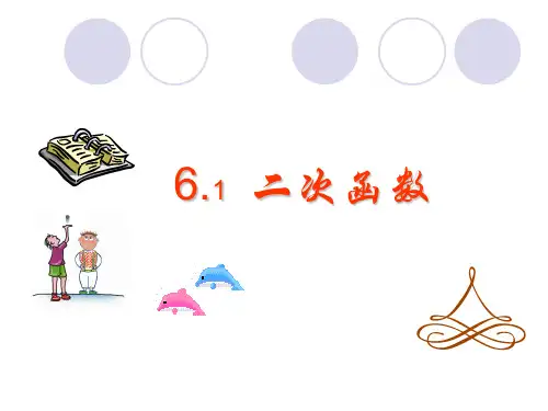 6.1 二次函数