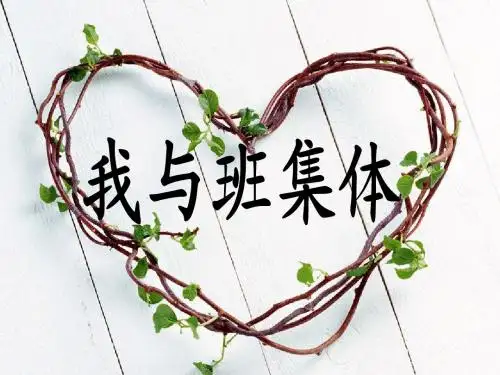 我与班集体