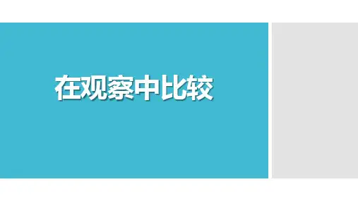 教科版一年级科学上册 (在观察中比较)教育教学课件