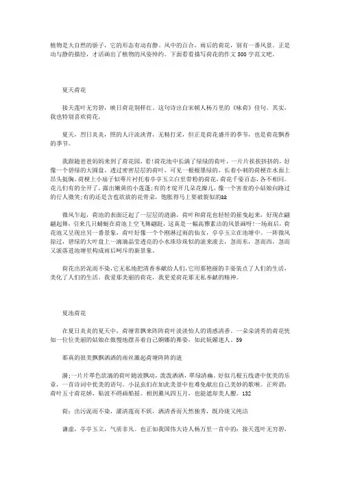 描写荷花的作文500字大全