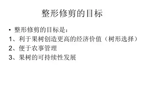苹果树的整形修剪