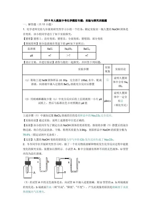 2014年中考化学模拟专题：实验与探究训练题及答案