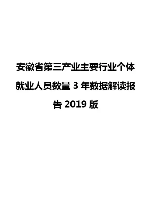 安徽省第三产业主要行业个体就业人员数量3年数据解读报告2019版
