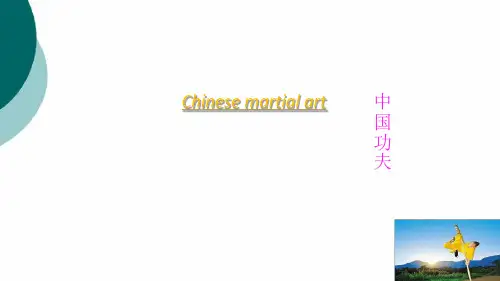 作文 中国功夫介绍英文版
