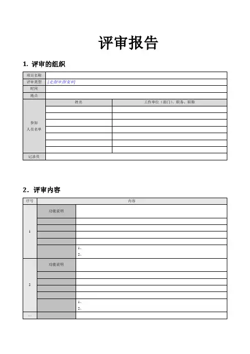 评审报告