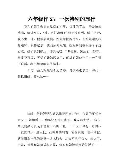 六年级作文：一次特别的旅行.
