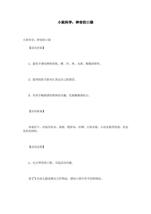 小班科学：神奇的口袋
