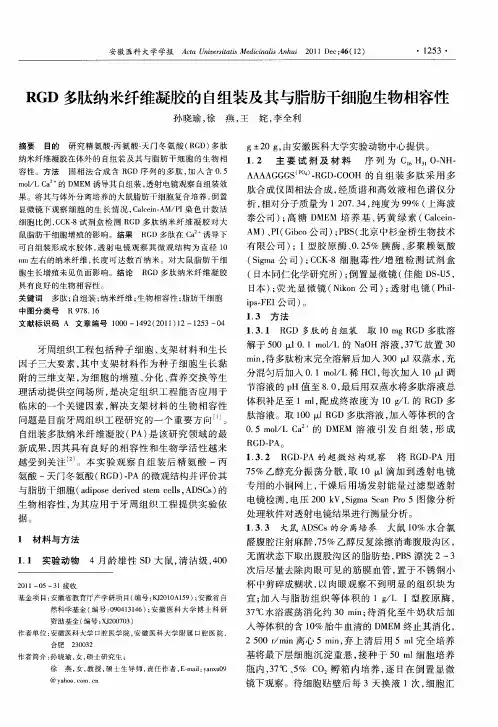 RGD多肽纳米纤维凝胶的自组装及其与脂肪干细胞生物相容性