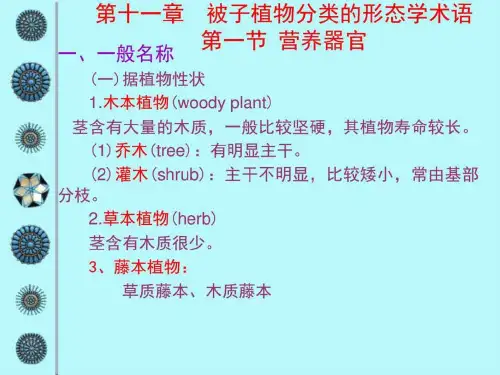 被子植物分类的形态学术语_生物学_自然科学_专业资料