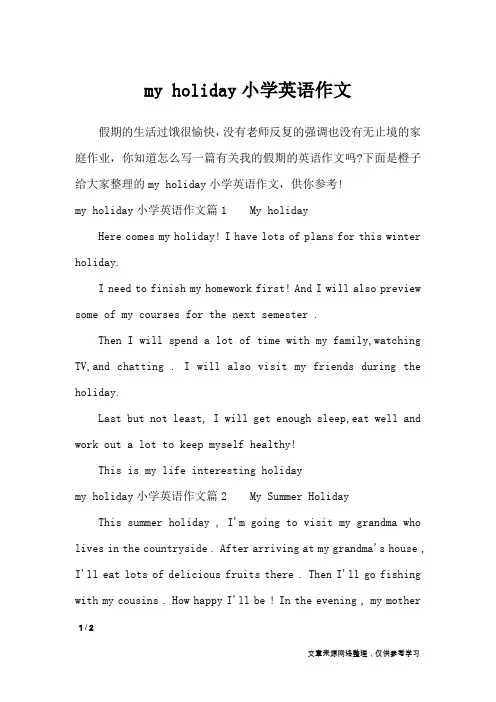 my holiday小学英语作文_英语作文