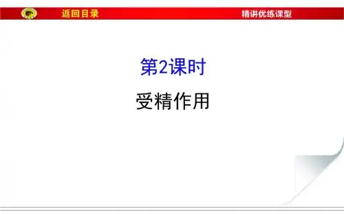 高中生物世纪金榜同课异构教学课件2.1.2