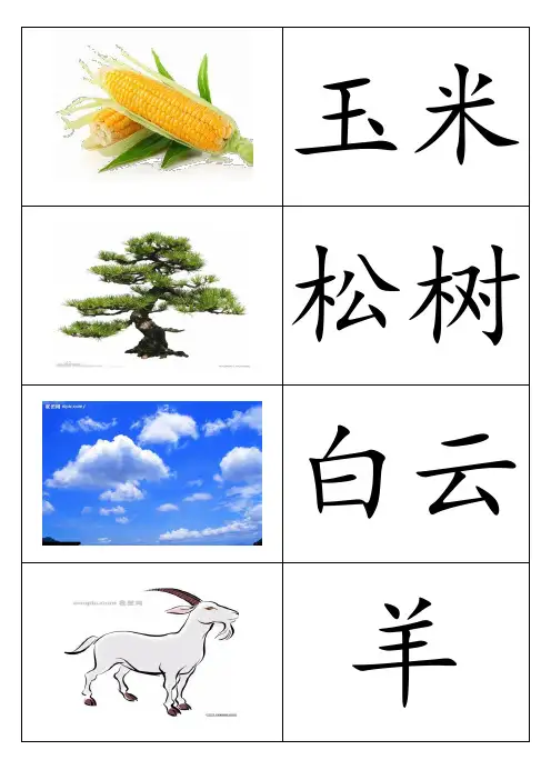 幼儿识字卡片配图可打印 大全2