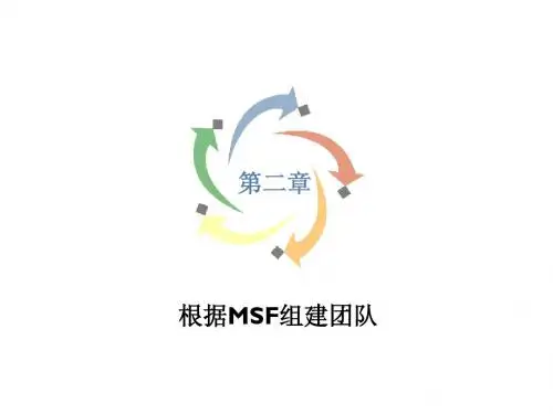 Building an MSF Team 中文