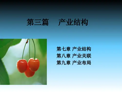产业经济学 第七章 产业结构