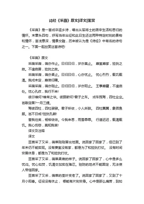 诗经《采薇》原文译文鉴赏