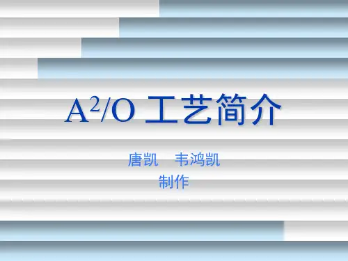 A2O工艺简介共23页文档