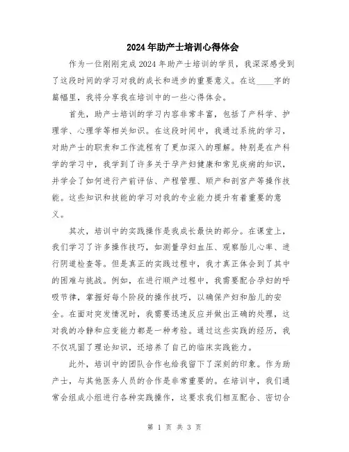 2024年助产士培训心得体会