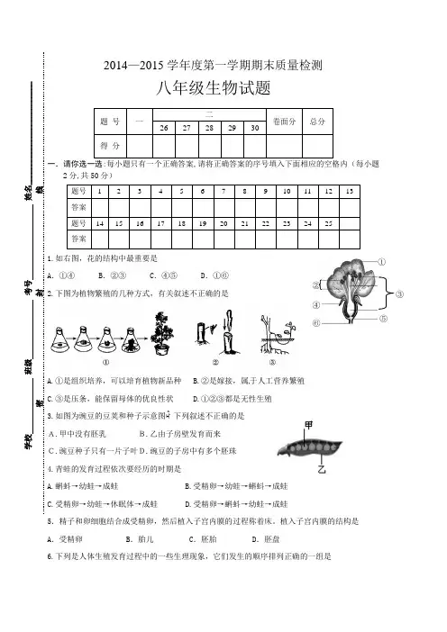 2014峄城区八年级上期末