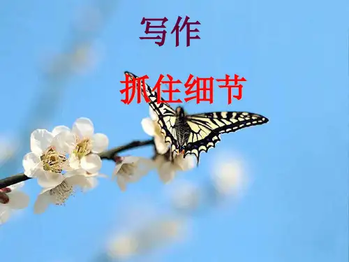 人教部编版初中七年级下册语文第三单元写作抓住细节课件