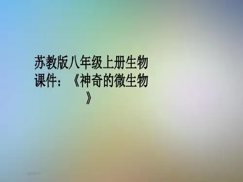 苏教版八年级上册生物课件:《神奇的微生物》27页PPT
