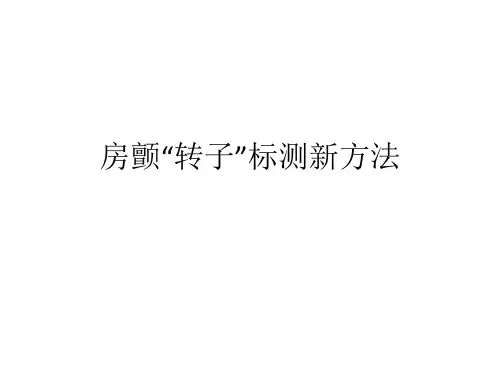 房颤“转子”标测新方法PPT课件37页