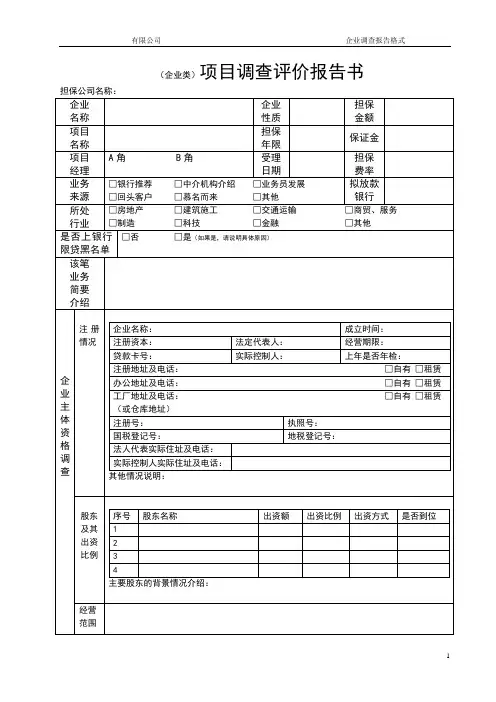(企业类)项目调查评价报告书