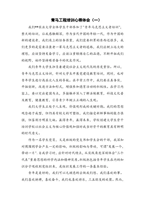 青马工程培训心得体会