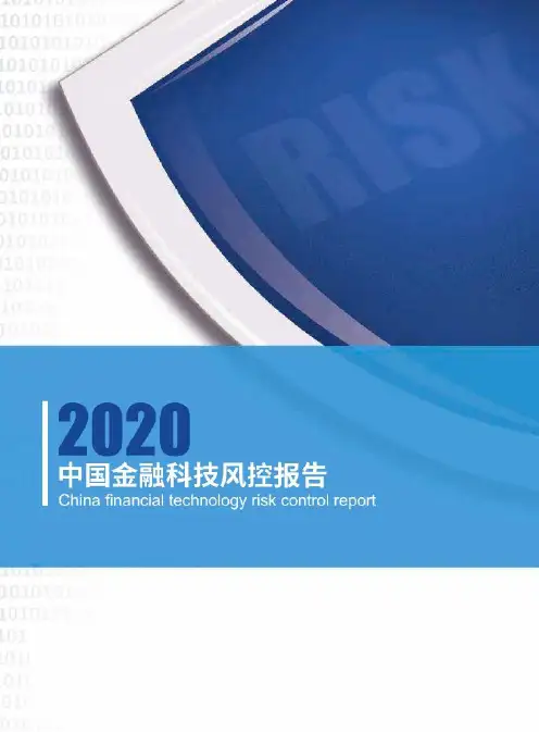 【精品】2020年中国金融科技风控大数据报告完整版PPT(获奖作品)图文