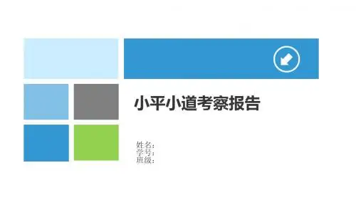 小平小道考察报告