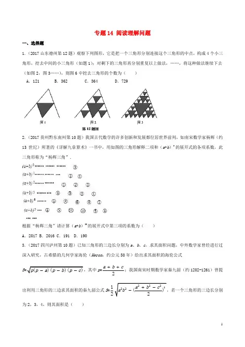 2018中考数学专题复习 专题14 阅读理解问题 精