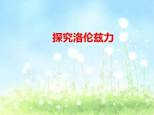 上海科技教育出版社(沪科版)高中物理选修3-1：探究洛伦兹力_课件3
