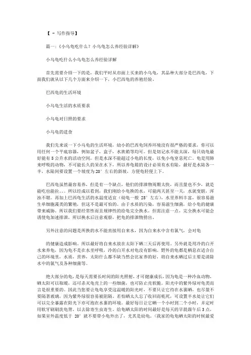 乌龟吃什么食