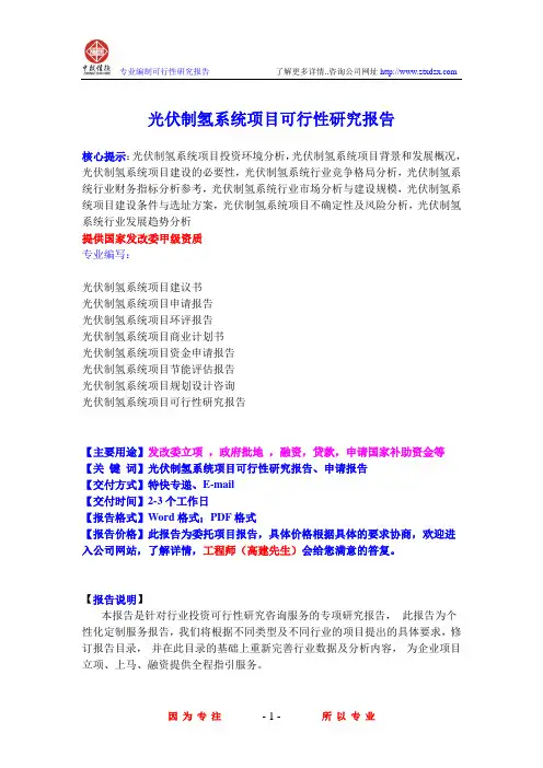 光伏制氢系统项目可行性研究报告