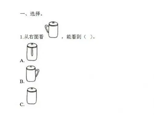 观察物体训练