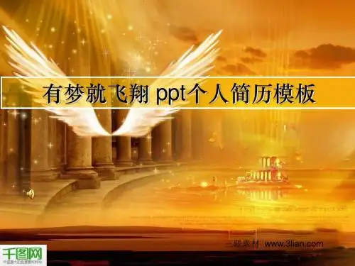 有梦就飞翔个人简历PPT模板