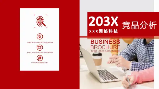 商品分析精美PPT (18)