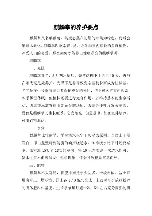 麒麟掌的养护要点