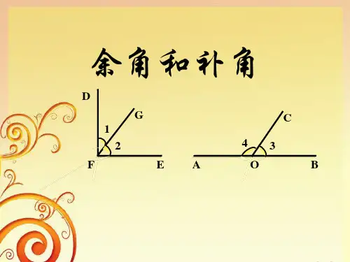 《余角与补角》平行线与相交线PPT课件四