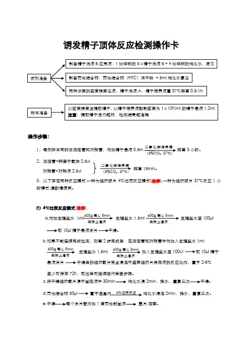 诱发精子顶体反应检测操作卡(新版20130710)